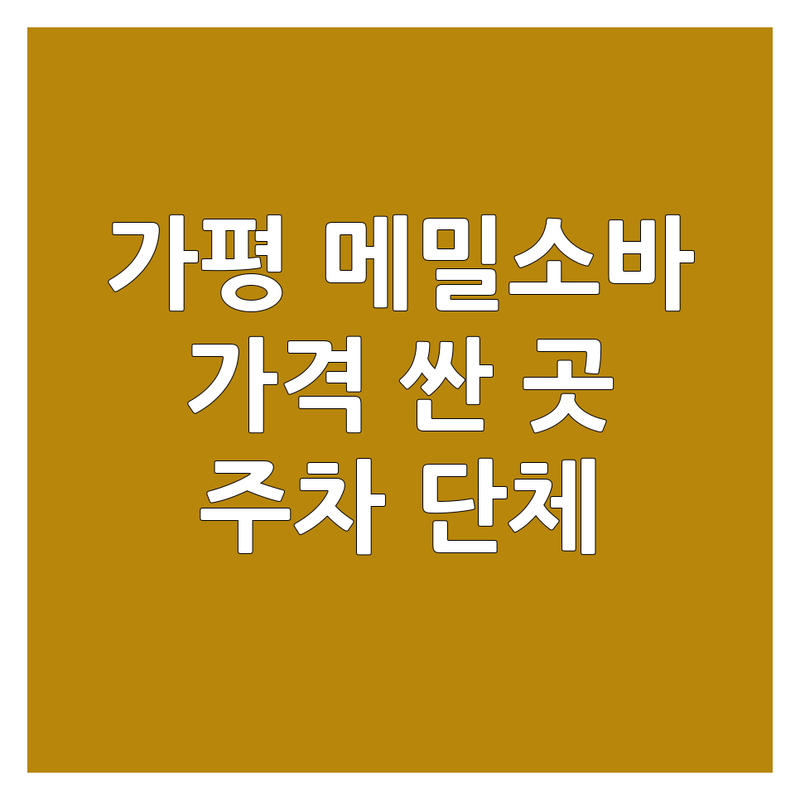 가평 메밀소바 저렴한 곳 가격싼 곳 업체 추천 | 국수집 비용 가격 잘하는 곳 | 새우소바 장어소바 물막국수 비빔막국수 들기름막국수 | 숯불닭갈비 수육 | 무료 주차 단체