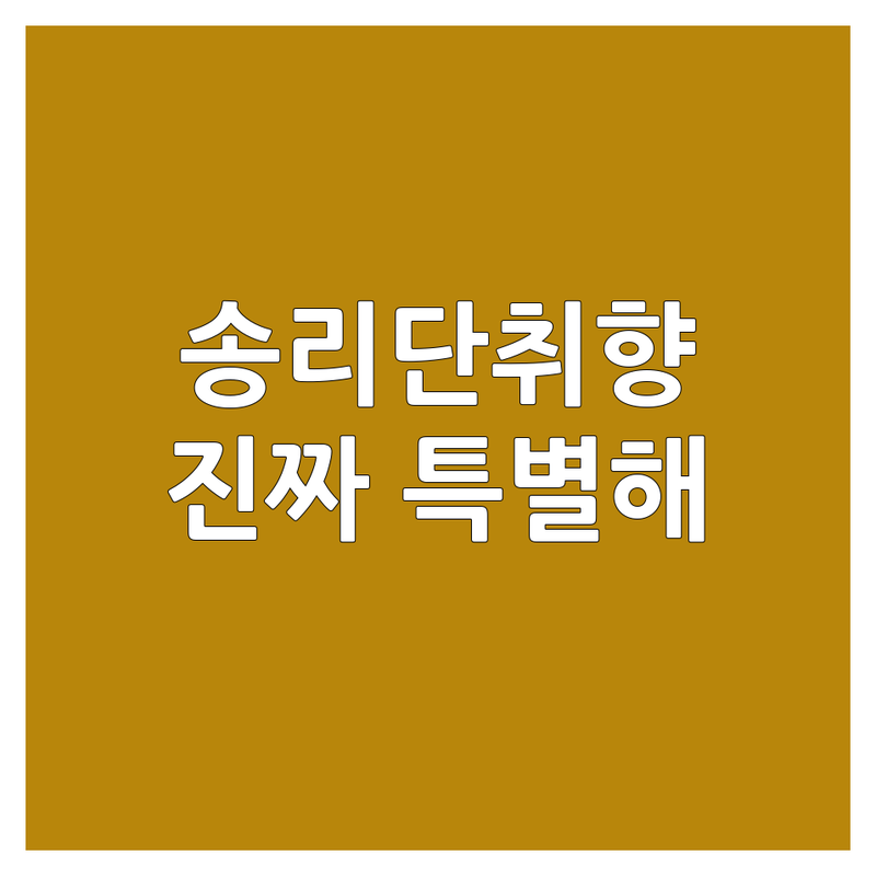 20년 넘게 파스타 먹어봤는데, 송리단취향 이 집이 진짜 특별했어요!