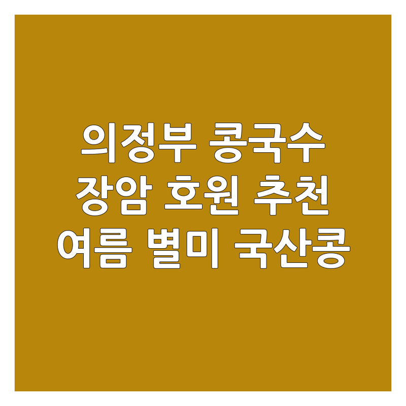 의정부 콩국수 맛집 탐방 | 장암동 호원동 시원한 콩국수 추천 | 여름 별미 국산콩 콩국수 전문점 | 혼밥 가성비 주차 편한 곳 | 포장 배달 예약 가능
